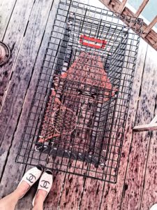 A Complete Maine Travel Guide featured by top US lifestyle blogger, Leslie Nicole Langan